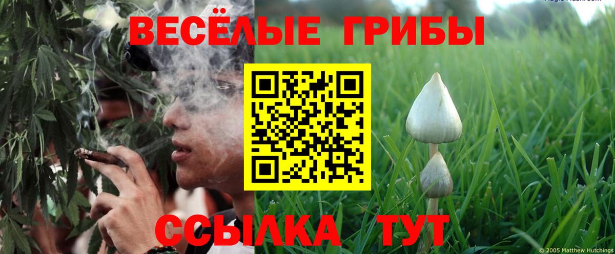 Галлюциногенные грибы ЛСД Обнинск